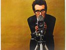 Elvis Costello - This Years Model - 1978 	Columbia Rock/New Wave Vinyl LP  VG+