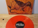 Days N Daze Rogue Taxidermy Limited Pressing Colored Vinyl Punk Alt LP