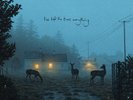 Dermot Kennedy I've Told the Trees Everything (Vinyl) 12
