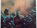 Steely Dan - Katy Lied  - UK Vinyl First Pressing - 1975 - ABCL 5094