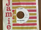 RARE The Pentagons She’s Mine, I Wonder Doo-Wop R&B Soul 45 Record