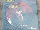 NIRVANA. IN BLOOM. ORIGINAL 12