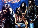 Pink Cream 69 - One Size Fits All LP (VG+/VG+) '*