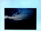 The Saints - A Little Madness To Be Free LP (VG+/VG+) '