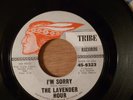 The Lavender Hour I'm Sorry/Hang Loose Texas Garage 1967 Tribe Records
