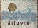 Freelance Whales Diluvia Black Vinyl