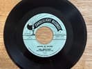 RARE The Mellows Moon Of Silver, You’ve Gone Doo Wop R&B Soul 45 Record