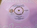 Nirvana - Pentecost Hotel c/w Feelin' Shattered 1967 UK 45 ISLAND PSYCH