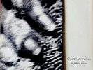 COCTEAU TWINS Blue Bell Knoll | 12” LP | C1-90892  | 1988