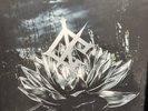 We Came As Romans - Darkbloom Limited Sea Blue In Coke Bottle Green Vinyl