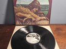 GRATEFUL DEAD - Wake of the Flood LP 12