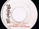 BOB MARLEY AND THE WAILERS - WHO IS MR. BROWN DRACULA UPSETTER YES UNPLAYED EX