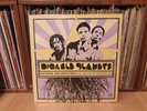 Digable Planets Beyond the Spectrum Vinyl Record 2LP Blue Note 2005 NEW