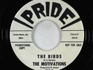 Garage Surf Exotica Inst. 45 - Motivations - The Birds/Motivate - Pride