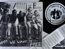 Punk 45 - Articles Of Faith - What We Want Is Free - Version Sound VG+