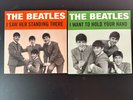 The Beatles in RSD 2024 I Saw Her Standing There I Want to Hold Your Hand LOT
