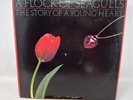 A FLOCK OF SEAGULLS (LP) The Story of a Young Heart. 1984. Jive/Arista
