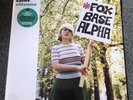 SAINT ETIENNE. FOXBASE ALPHA LP. 30TH ANNIVERSARY GREEN VINYL & RARITIES CD. NEW