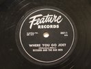 JUMP BLUES RICHARD & THE BAD MEN Where You Go Joe? FEATURE 3011 E