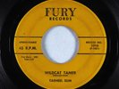 Rockabilly R&B 45 - Tarheel Slim - Wildcat Tamer - Fury