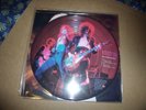 33T PICTURE DISC LED ZEPPELIN