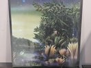 FLEETWOOD MAC - TANGO IN THE NIGHT Vinyl, LP, Album, DMM  1987  Rock, Pop
