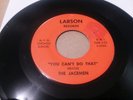 RARE ROCKFORD IL.GARAGE 45 THE JACEMEN DON'T TAKE IT OUT ON ME LARSON S-5306 EX