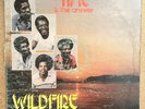 WILDFIRE - Time Is The Answer / ISLAND BOOGIE DISCO FUNK TRINIDAD LP