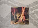 Crocodiles by Echo and the Bunnymen Vinyl Record