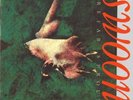 PREFAB SPROUT - Swoon 2019 EI 180 Gram Vinyl LP New