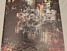 La Dispute Wildlife 12