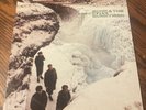 Echo & The Bunnymen Porcupine Vinyl Record
