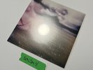 billie eilish guitar songs vinyl
