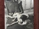 ORIGINAL PHOTO JOE DALLESANDRO & JANE BIRKIN 
