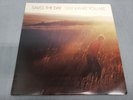 SAVES THE DAY Stay What You Are VAGRANT 2001 Emo VG+ Rock VINYL LP Record USED
