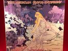 TOM NEWMAN Faerie Symphony 1977 UK Vinyl LP EXCELLENT CONDITION