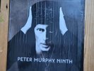 Peter Murphy Ninth Ltd LP  US Press Goth Post Punk Bauhaus