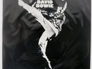 DAVID BOWIE THE MAN WHO SOLD THE WORLD RCA PG110 Japan INSERT VINYL LP