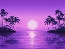 Purple Disco Machine - Paradise - Limited Transparent Purple Colored Vinyl [New