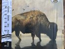Silverstein – THIS IS HOW THE WIND SHIFTS - 10TH ANNIV Green Gold Splatter Vinyl