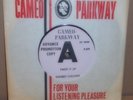 Chubby Checker – Twist It Up . RARE PROMO , LISTEN