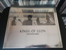 Kings Of Leon When You See Yourself Silver Swirl READ AD New But Opened