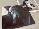 WARREN ZEVON Self-Titled 1976 LP 1st Press Artisan shrink ONE OWNER NM Beauty