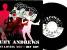 Ruby Andrews:Just loving you/Hey boy take a chance on love: DJ:Re-Issue