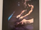 SIOUXSIE AND THE BANSHEES The SCREAM LP 1978