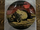 Repugnant Premature Burial 7