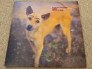 David Sylvian Everything and Nothing Vinyl LP 12