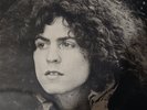 Tyrannosaurus Rex, Unicorn/ A Beard of Star Double LP, Released 1969/70