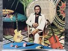 Al Di Meola – Casino | Japan Pressung LP Vinyl Record Schallplatte Jazz