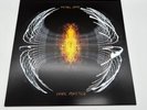 Pearl Jam Dark Matter (Blood Records Zoetrope Vinyl) Brand New In Hand Ships Now